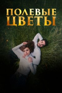 Дикие цветы